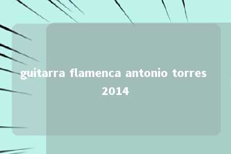 guitarra flamenca antonio torres 2014