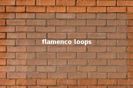 flamenco loops