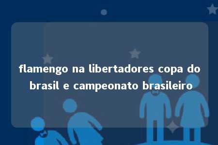 flamengo na libertadores copa do brasil e campeonato brasileiro